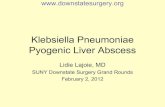 Pyogenic Liver Abscess - SUNY Downstate Medical Center · 2019. 5. 22. · Pyogenic Liver Abscess Lidie Lajoie, MD SUNY Downstate Surgery Grand Rounds . February 2, 2012 . . Case