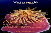 Im Herzen Indonesiens - Waterworld · 2019. 1. 16. · Touren gehen, um das faszinierende Bali weiter zu erkunden. Eine Inseltour im offenen Kübelwagen gilt dabei als Geheimtipp!