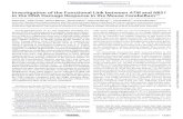 InvestigationoftheFunctionalLinkbetween ATM and NBS1 ...yossih/publications/Dar.et.al.2011.pdf · itysyndrome,ataxia-telangiectasia(A-T).A-Tischaracterizedby progressive cerebellar