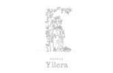 Catalogo Yllera Espanol Ordenado · 2018. 11. 28. · máquina para evitar oxidaciones y pérdidas de aromas y para los tintos: Vendimia Manual en cajas, con exhaustiva selección