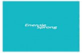 > ENERGIESPRONG€¦ · energy refurbishment solutions to the mass market by 2020. Energiesprong transforms neighbourhoods and enhances people’s quality of life Originating in the