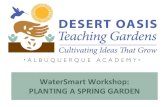 New PLANTING A SPRING GARDEN WaterSmart Workshop · 2019. 3. 7. · PLANTING A SPRING GARDEN . WUA Resources & Events 2019 The Desert Oasis Teaching Garden. Everything we cover is