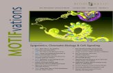 Epigenetics, Chromatin Biology & Cell Signaling• Step-by-step protocols for ﬁ xa-tion of chromatin, sonication and immunoprecipitation, all optimized for RNA preservation • Includes