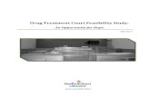 Drug Treatment Court Feasibility Study · Drug Treatment Court Feasibility Study (May 2017) 1 Executive Summary Drug Treatment Courts are intended for offenders with serious drug