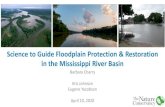 Science to Guide Floodplain Protection & Restoration in ... · 4/13/2020  · Barbara Charry. Kris Johnson. Eugene Yacobson. April 10, 2020. Science to Guide Floodplain Protection