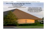 Our Lady of the Woods Parish Orland Park, IL€¦ · October 11, 2020 Twenty Eighth Sunday in Ordinary Time Our Lady of the Woods Parish Orland Park, IL 10731 West 131st Street Orland