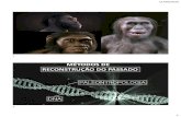 MÉTODOS DE RECONSTRUÇÃO DO PASSADO...EVOLUÇÃO HUMANA Primatas. 55 milhões de anos. ReFiCOFaGE Animalia. Cordados. Hominidae. 15 milhões de anos. Mamíferos. FAMÍLIA HOMINIDAE