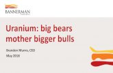 Uranium: big bears mother bigger bulls · * CGN owns 19.99% of Fission Uranium Corp head equity ** CNNC owns 25% of Langer Heinrich project equity *** SGRF has conversion rights and