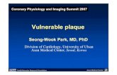 Division of Cardiology, University of Ulsan Asan Medical ...Vulnerable plaque Division of Cardiology, University of Ulsan Asan Medical Center, Seoul, Korea Coronary Physiology and