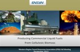 Producing Commercial Liquid Fuels from Cellulosic Biomass · RFS2 supports market for biofuels to 2022 12 0 5 10 15 20 25 year of cellulosic 30 35 40 2008 2010 2012 2014 2016 2018