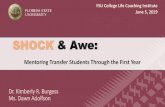 SHOCK & Awe - Florida State University & Aw… · SHOCK & Awe: Mentoring Transfer Students Through the First Year Dr. Kimberly R. Burgess Ms. Dawn Adolfson FSU College Life Coaching