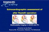 Echocardiographic assessment of after Rastelli operation documents/Annemien  · PDF file Echocardiographic assessment of after Rastelli operation Multimodality Imaging in ACHD and