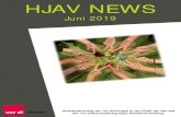 HJAV NEWS Juni 2019 - ver.di+file++5d0b93710596... · HJAV GAT . Wie im letzten Newsletter berichtet fand vom 11.-13. Juni unsere gemeinsame Arbeitstagung mit den BJAVenin Nürnberg