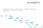 COST OF CAPITAL IN PR19 - Thames Water · 2020. 9. 30. · COST OF CAPITAL FOR PR19 CONTENTS Executive Summary 4 1 Introduction 7 2 Cost of equity 10 2.1 Total Market Return 11 2.2