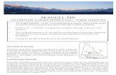 C: Panarc Resources3- Properties2- YukonSeagull3 ... · SEAGULL TIN TIN PORPHYRY & SKARN DISTRICT PLAY - YUKON TERRITORY LOCATION & ACCESS The Seagull Tin Property is centred at 60