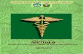 MEDULA - Universitas Lampungrepository.lppm.unila.ac.id/2222/1/2.Hanna,Magista,Medula... · 2017. 5. 30. · Laporan Kasus Artikel mengenai kasus dalam bidang ilmu kedokteran dan