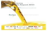 Whitepages · 2018. 10. 19. · 2 Energy Efficiency Opportunities Report 2013 Peerless Foods Peerless Holding Pty Ltd Peerless Holdings Pty Ltd trading as Peerless foods is the largest