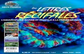 RÉCIF FRANCE LesLETTRES RÉCIFALES - RECIF FRANCE - … · 2015. 10. 13. · variété de coraux et de Tridacnes, ... Le genre Pomacanthus comprend les plus beaux et célè-bres