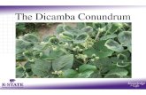 The Dicamba Conundrum Agent U… · Xtend Crop Launch Full commercialization of Xtend Technologies Dicamba resistant soybeans and cotton Approved dicamba products for Xtend Crops