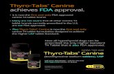 Thyro-Tabs Canine achieves FDA approval. · factor influencing levothyroxine absorption is food. Giving levothyroxine with a meal decreases the absorption by 50%. 1. Because of the