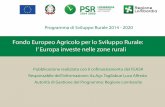New FEASR - Il Verde Editoriale · 2017. 4. 8. · PRESENTAZIONE DEL PROGETTO FIORUME 2.0 –dott. agr. Francesca Oggionni • Enti pubblici territoriali: spesso sono gli enti pubblici