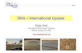 SKA –International Update...– Overall SKA concept design, with costing – Detailed SKA Phase 1 design – Initial Verification System for SKA Phase 1 design Demonstrates functional