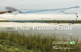 Our Future Gulf - The Nature Conservancy · and waters on which all life depends”. Our vision is “a world where the diversity of life thrives, and people act to conserve nature