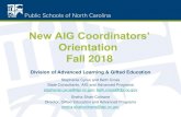 New AIG Coordinators’ · The “AIG bucket” Academically or Intellectually Gifted –to advocate for the needs of AIG students in public schools by providing leadership, guidance