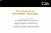 The Squeeze on Molecular Pathology - University of Utaharup.utah.edu/media/squeezeMolePath/Bossler Grand Rounds.pdf · • 83902 ‘reverse transcription Codes ’ 20.11 • 83903