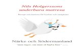 Nils Holgerssons underbara matresa · 2016. 3. 29. · Inledning Välkommen till ’’Nils Holgerssons underbara matresa’’. Under flera veckor kommer vi tillsammans göra en