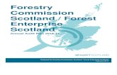 Forestry Commission Scotland - Forest Enterprise Scotland ... · recommendation of the Scottish Parliament, to audit the Scottish ... provide a separate assurance letter to the NAO.