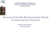 Structural Health Monitoring by Based on Piezoelectric ......Spectral Finite Element Method –Damage Detection and Localization Aluminium plate, detection and localization of additional