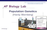 intro.html AP Biology Lab...2015/04/02  · genetic drift AP Biology Lab 8: Population Genetics Concepts Hardy-Weinberg equilibrium p + q = 1 p2 2+ 2pq + q = 1 required conditions