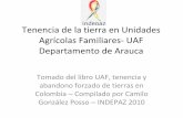 Indepaz – Instituto de estudios para el desarrollo y la paz...Arauca: Concentración de la tierra (predios) medida por el fndice de Gini, 2000-2009 0,60 Araue oas 0.81 Cd ombla AralAuIta