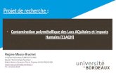 Projet de rechercheProjet de recherche: Régine Maury-Brachet Université de Bordeaux/UMR EPOC 5805 équipe d’EcotoxicologieAquatique Station Marine d’Arcachon Plce dr Peyneau