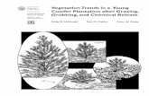 United States Department Vegetation Trends in a Young Conifer … · 2008. 9. 11. · Pacific Southwest Research Station Forest Service US Department of Agriculture Abstract McDonald,