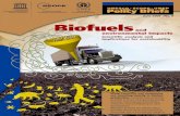 Many countries and companies are investing heavily in ...€¦ · fuels (transportation fuels and other uses of liquid fuels). Goals of increased production of liquid biofuels Concerns,