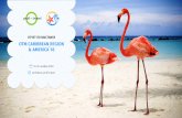 ОтМ Caribbean region & ameriCa`18 - Profi.Travel · соцсети экспонентов дестинаций ... 4 472 охват аудитории Вконтакте и Facebook