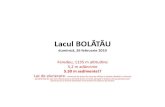 BOLĂTĂU - atlas.usv.roatlas.usv.ro/geografie/pagini/geografie_aplicata/bolatau.pdf · Impresionant pentru un lac de alunecare şi foarte sugestiv pentru amploarea alunecărilor