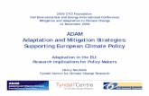 ADAM Adaptation and Mitigation Strategies: Supporting European … · 2018. 1. 15. · The costs and benefits of adaptation Share of residual damages, adaptation costs, and mitigation