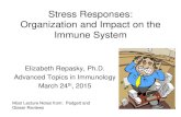 Stress Responses: Organization and Impact on the Immune System · 2019. 10. 25. · hormones can regulate a wide variety of immune cell functions. • Modulate expression of: cytokines,