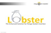 Assembly tool 'Lobster' for the safety installation of ... · LOBSTER RANGE . The Lobster range covers: - All Ring Joint Types R / RX / BX - All gasket materials like soft iron and