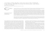 A study of the sharks and rays from the Lillebælt Clay ... · Sharks and rays from the Eocene Lillebælt Clay, Denmark · 41 decrease in the sea level (Heilmann-Clausen & Surlyk