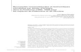 New Nouveautés nomenclaturales et taxinomiques introduites par …sciencepress.mnhn.fr/sites/default/files/articles/pdf/g... · 2015. 5. 6. · Classe Total Mollusca Gastropoda 129