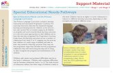 primar ENGLISH - Home - National Council for Curriculum and … · 2020. 2. 18. · The Special Educational Needs pathways, or SEN pathways consist of seven pathways which describe,