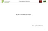 AÇOS E FERROS anael.krelling... · PDF file Tab.: Designações, composições e aplicações para seis aços-ferramenta. W –Aços temperáveis em água S –Aços resistentes