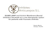Inhibitec Anticuerpos S.L. - idea2.mitlinq.org · Anticuerpos S.L. Inhibitecwillrequire3M € and 3 yearsto humanizethe antibodyand complete preclinicaldevelopment Milestone Time