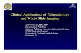 Clinical Applications of Telepathology and Whole Slide Imaging APIII 2006 Clinical... · Telepathology Components • Telepathology equipment • Telecommunications systems • Human