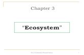Forest Ecosystem (Terrestrial Ecosystem)watumull.edu/home/wp-content/uploads/2013/09/3-Ecosystem.pdf · 03/09/2013  · Ecological Pyramids The relationship between producers, consumers