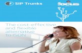 The cost-effective and flexible alternative to ISDNthisisfocusgroup.co.uk/downloads/voice/SIPTrunks.pdf · Business solutions using SIP trunking With Focus SIP Trunks you get a service